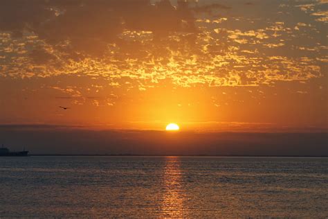 Sunshine : r/Sunshine.
